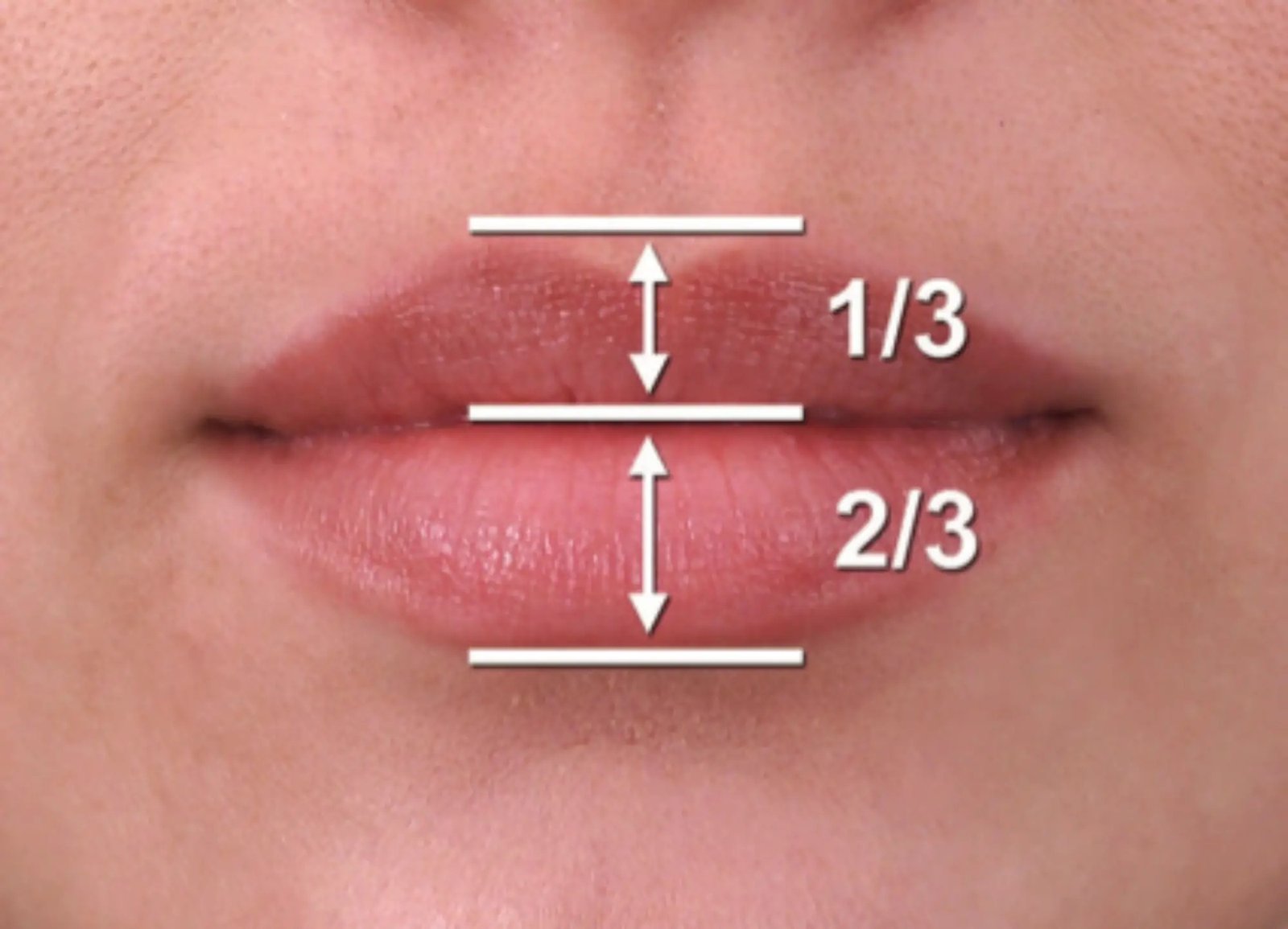 proporcion-labio-juvenil